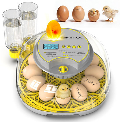 Incubator for Hatching Eggs-12 Egg Capacity, 2026 Newly Upgraded Automatic Egg T