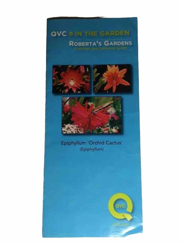 (3) Epiphyllum ORCHID CACTUS Cutting Clipping 4” Flowering FUCHSIA Live Plant - Picture 10 of 24