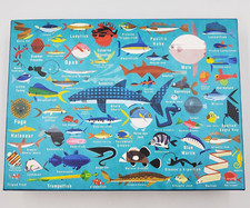 Mudpuppy Puzzle Ocean Life Fish 1000 Pcs Deep Sea Name Reference Aquarium Jigsaw