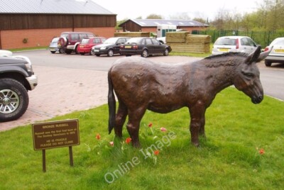 Photo 6x4 The Elizabeth Svendsen Trust for Children and Donkeys Droylsden  c2007