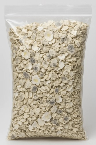 Crushed Oyster Shell for Tabby Concrete – Bulk by the Pound