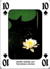 Bild 45 von 54