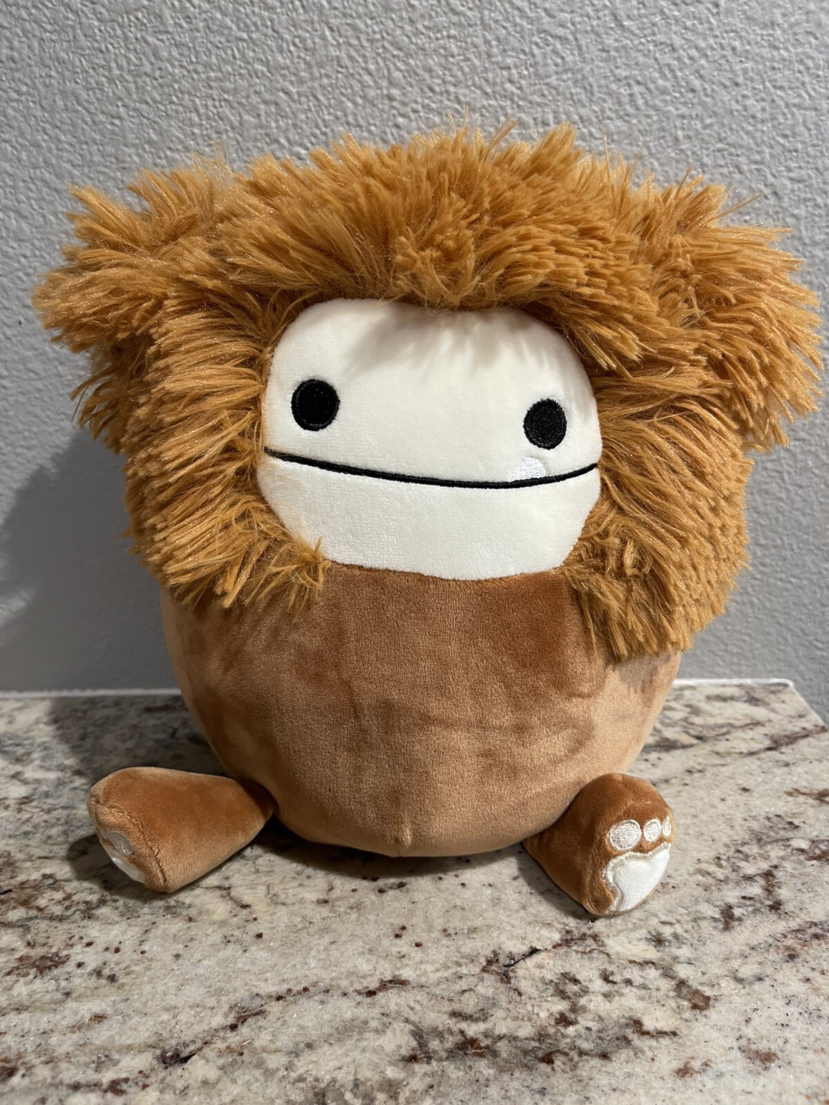 cheap teddy bear puppies