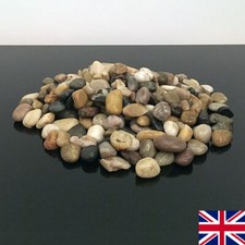 500g Decorative Natural BROWN PEBBLES Stones Chippings Gravel HOME GARDEN Rocks