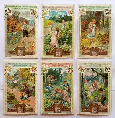 komplette Liebig Serie A 516 / S 664 "Was der Wald den Kindern schenkt" - 1901 - Bild 1 von 2