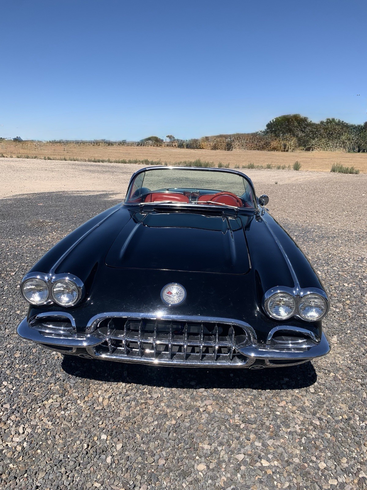 1959 Black Chevrolet Corvette   | C1 Corvette Photo 4