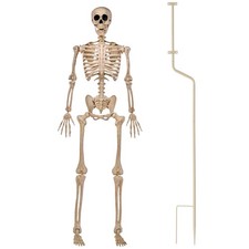 5 FT Halloween Skeleton Decor with Stand, Posable Life Size Yellow