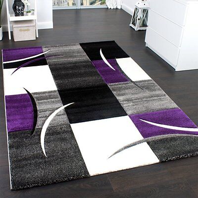 Modern Contemporary Rug Designer, Purple Living Room Rugs