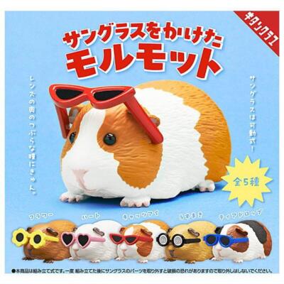Guinea pig wearing sunglasses [5 types (full complete)] Capsule