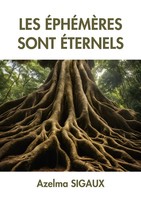 Les ÉPhéMèRes Sont éTernels Azelma Sigaux Taschenbuch FranzöSisch 2025