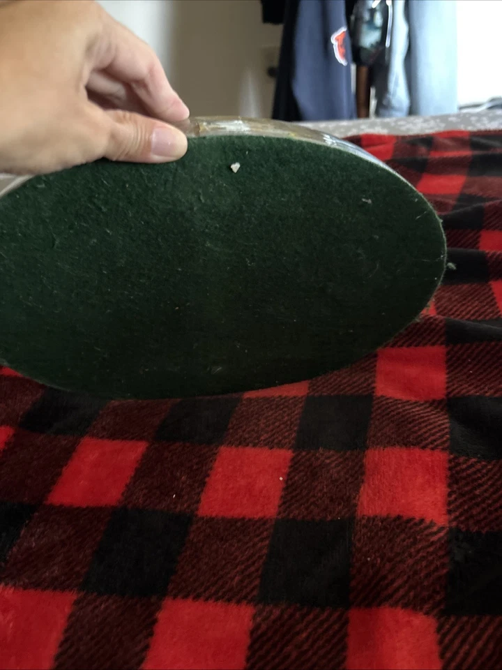 Sand dollar Bill - Image 2 of 2