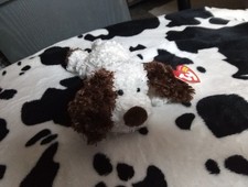 Original TY Beanie Babies - SPUDS 8" Retired Dog ( Vintage 2004) New - MINT *B1