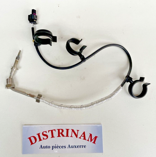 Sonde De Température D'échappement FAP/Turbo - Pour Porsche Cayenne/Panamera, Audi, VW 3.0 TDI