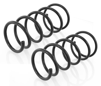 2x Federn Fahrwerksfeder Vorne für Renault Megane I , Scenic I Bj.1995-2003 NEU