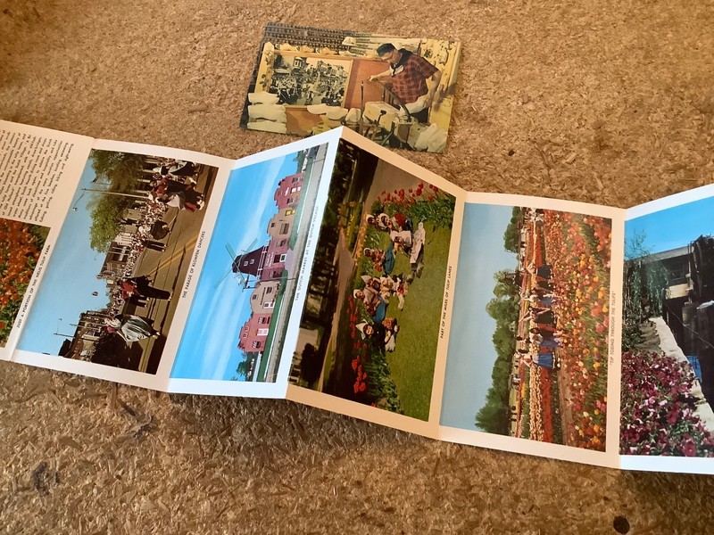 vintage postcards of Holland, Michigan, 1 single, 1 a 14 view mailable strip 