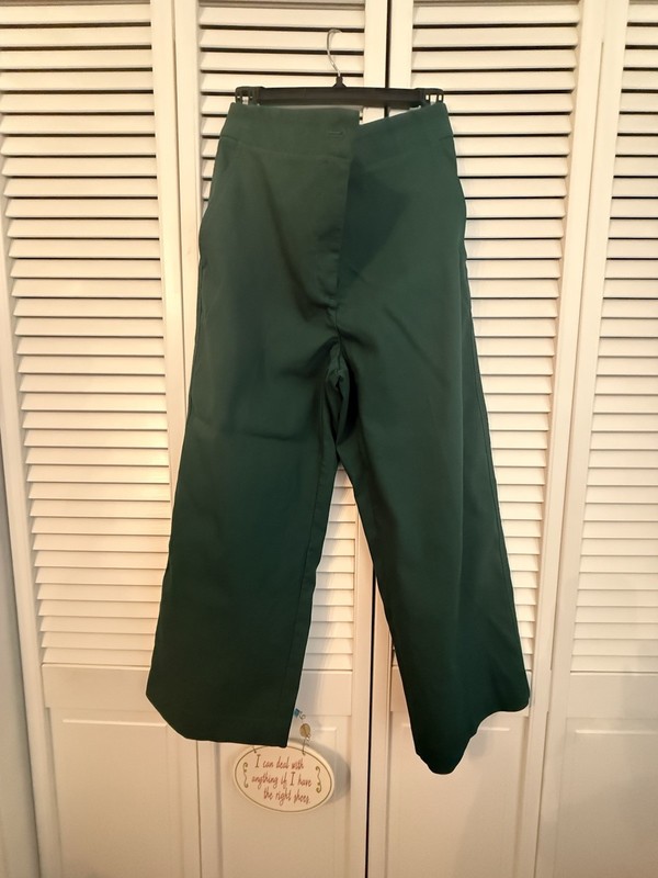 Ann Taylor women's wide-leg green trousers size 10