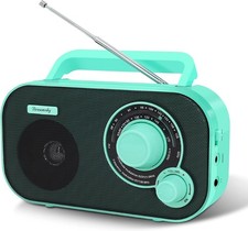 DreamSky AM/FM Portable Radio Model AM-DS216 Green Gray Indoor Outdoor