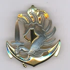 TDM RPIMA Drago Colonial Paratroopers Beret Badge