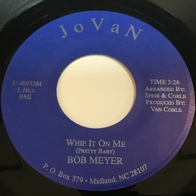 Bob Meyer - Whip It On Me / Fortune Teller 45 - Blues R&B