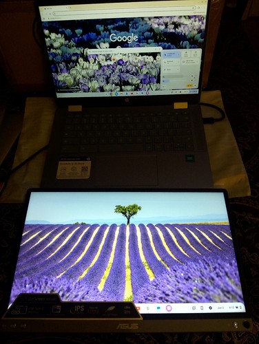 Asus ZenScreen MB16A 16 Inch Portable Monitor TESTED & WORKING CONDITION - Picture 15 of 15