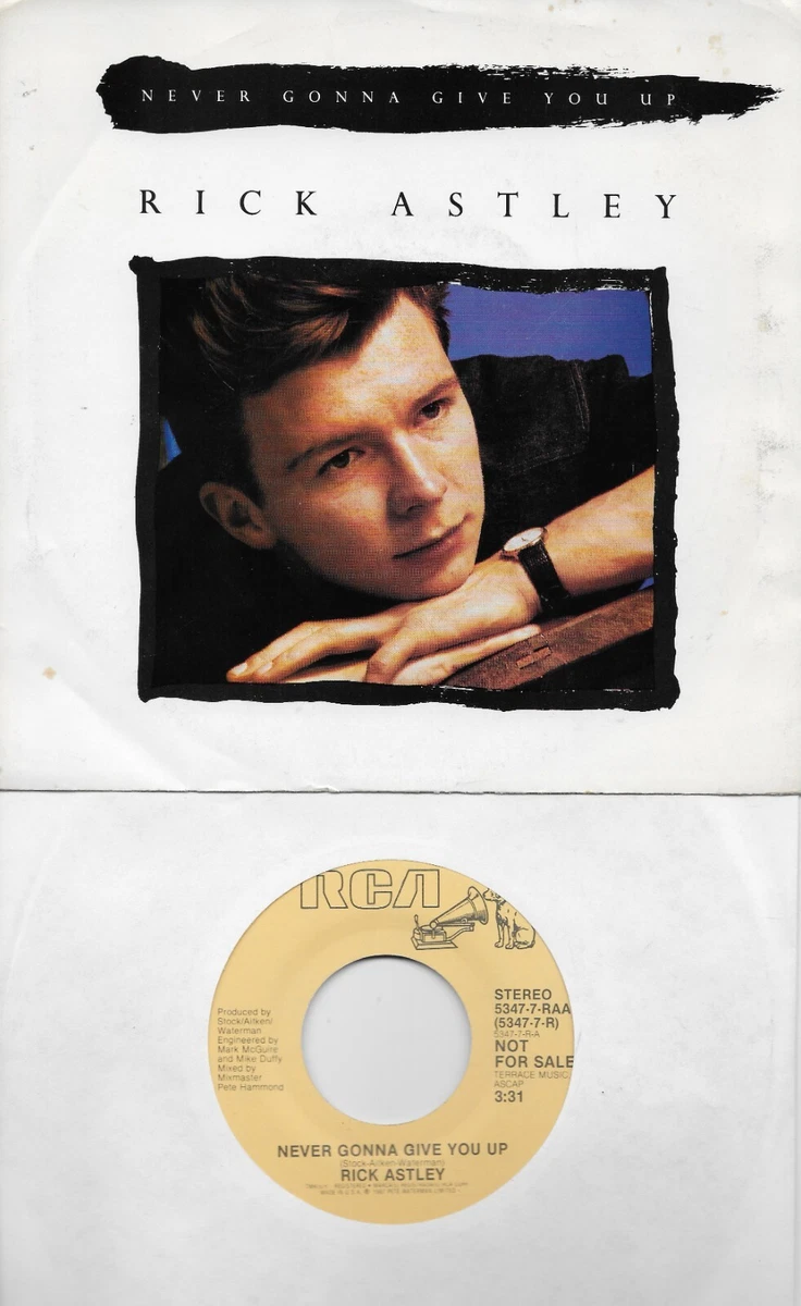Never gonna give you up. : r/rickroll