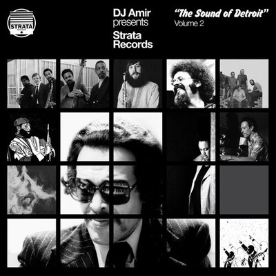 DJ Amir - Dj Amir Presents Strata Records: The Sound Of Detroit Vol. 2 [New Viny