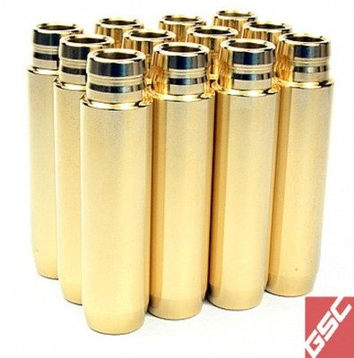 GSC 3079-20 fits Audi R8 V10 / fits Lamborghini Gallardo V10 Manganese Bronze