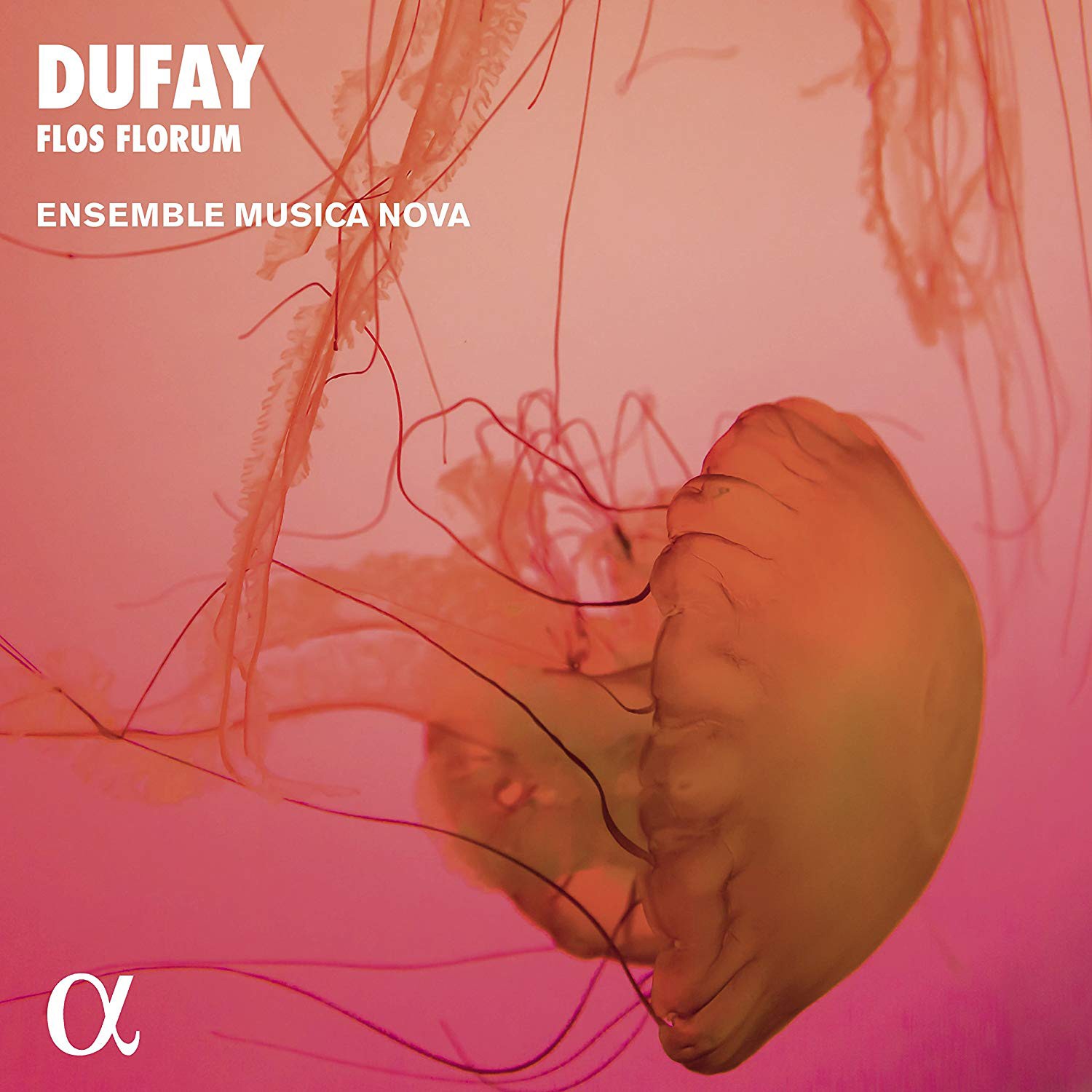 Guillaume Dufay Dufay: Flos Florum (CD) Album