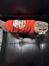 Fashion, Festival, Cool, Characteristic pet clothes, Size M, L or XL