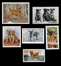GRIFFON BRUXELLOIS BRUSSELS BELGIAN Dog Vintage Trade & Cigarette Cards - x 6