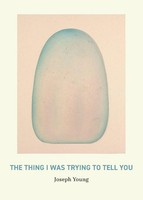 Joseph Young | The Thing I Was Trying To Tell You | Taschenbuch | Englisch