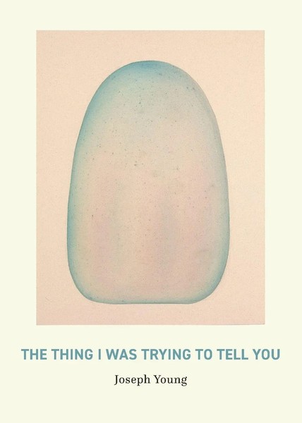 Joseph Young | The Thing I Was Trying To Tell You | Taschenbuch | Englisch-image