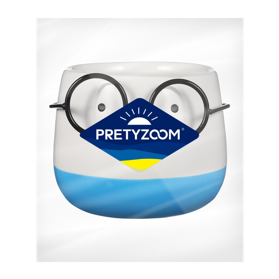 Flowerpot Plant Decorative Face Planters for Indoor Plants Pots House