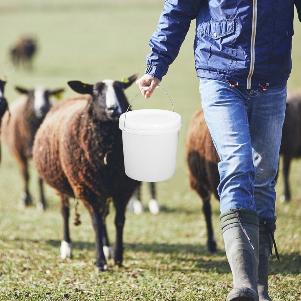 Plastic Barrel Buckets with Lids Pool Cleaning Empty Paint Cans eBay