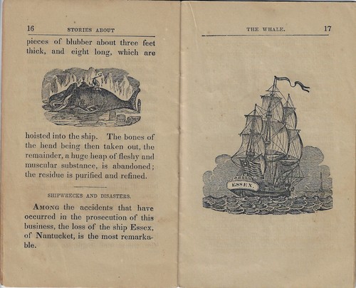 Early American STORIES ABOUT WHALES 1853 Whaling, shipwrecks - Imagen 8 de 8
