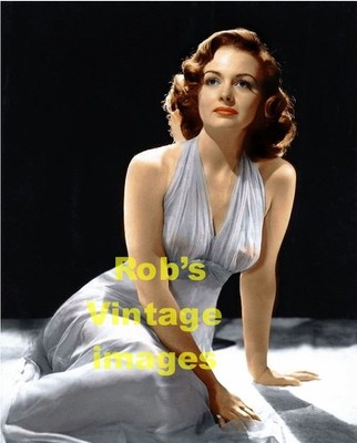 BULLET BRA MAMA Donna Reed 1950's  1960's Sexy Hot Senusal TV  Movie Star 8.5x11