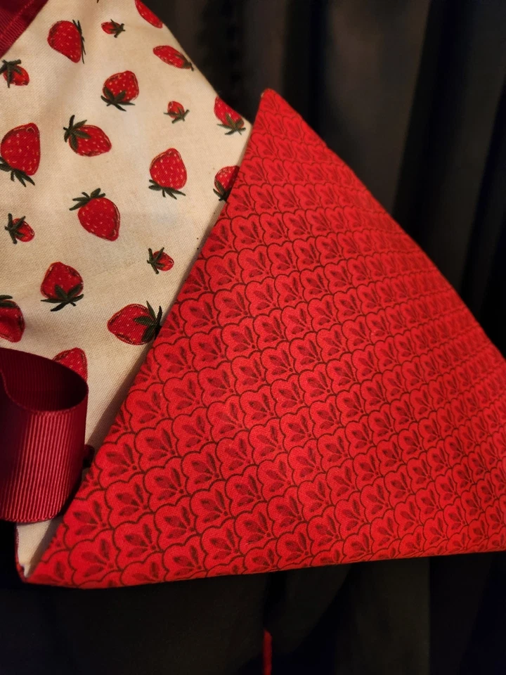  Victoriano/Renacentista versátil falda fresa y capa talla única  Foto 3 de 4