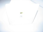 Bild 6 von 6