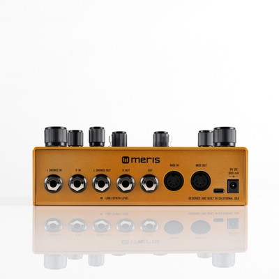 ギター MERIS 3 Meris Enzo X Polyphonic Synthesizer Pedal | eBay