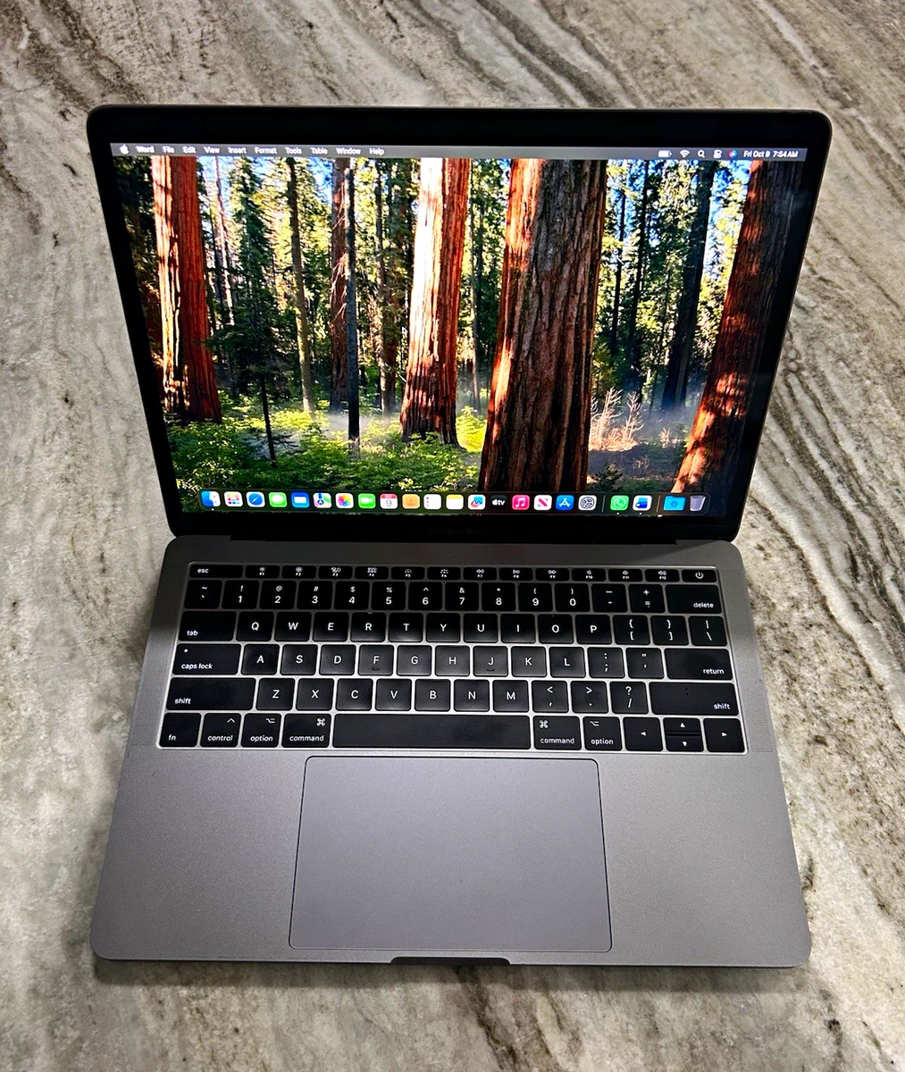 25+ Apple MacBook Pro 13-13.9 in Screen for sale | Updated Oct 2026