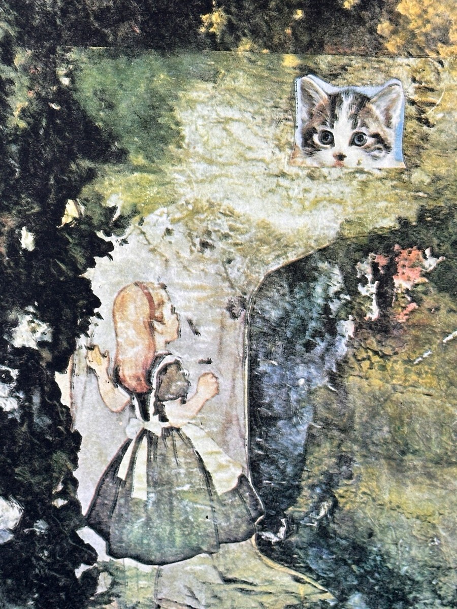 DALI Alice in Wonderland Hand Signed Numbered Etching Rare Surreal