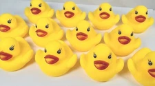 12 Pack - Novelty Place 2" RUBBER DUCKIES Classic Squeaky Floating Rubber Duck
