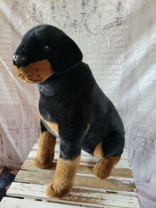 rottweiler stuff