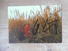 original Otmar Hörl- Kunst