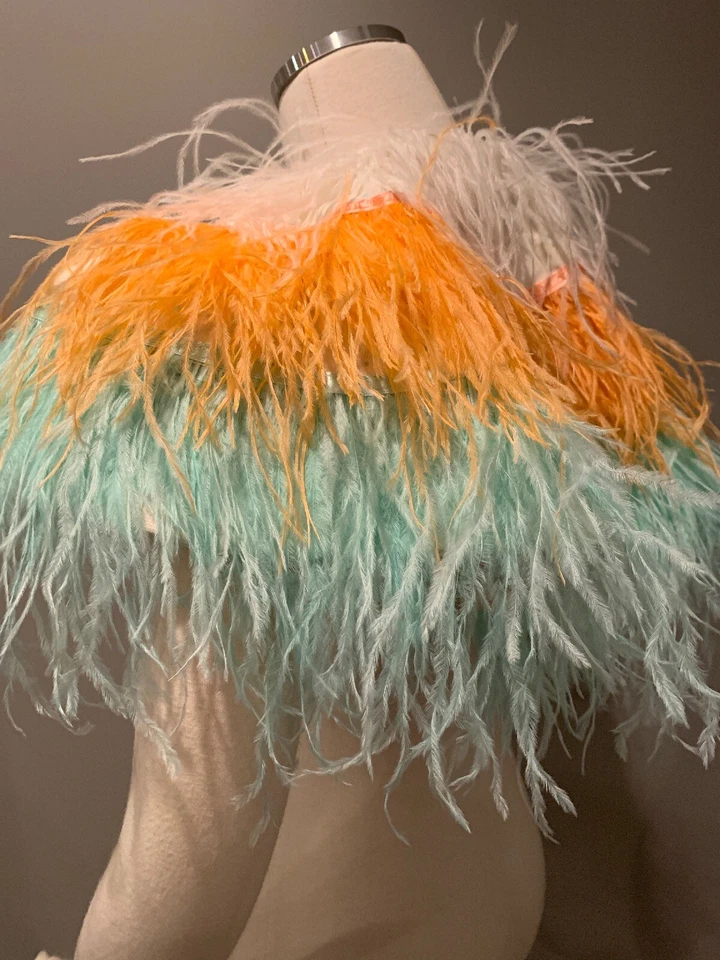 $168 Alice Mary Lynch X Anthropologie Plumas Plumadas Princesa Tutú de Vestir Nuevo con Etiquetas Foto 3 de 4