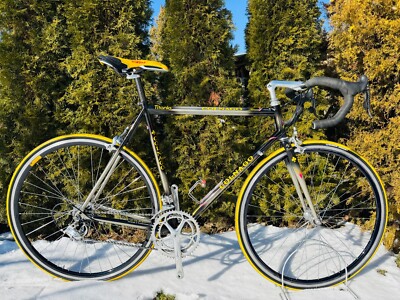 Colnago Master Bititan Decor Campagnolo 9s Titanium