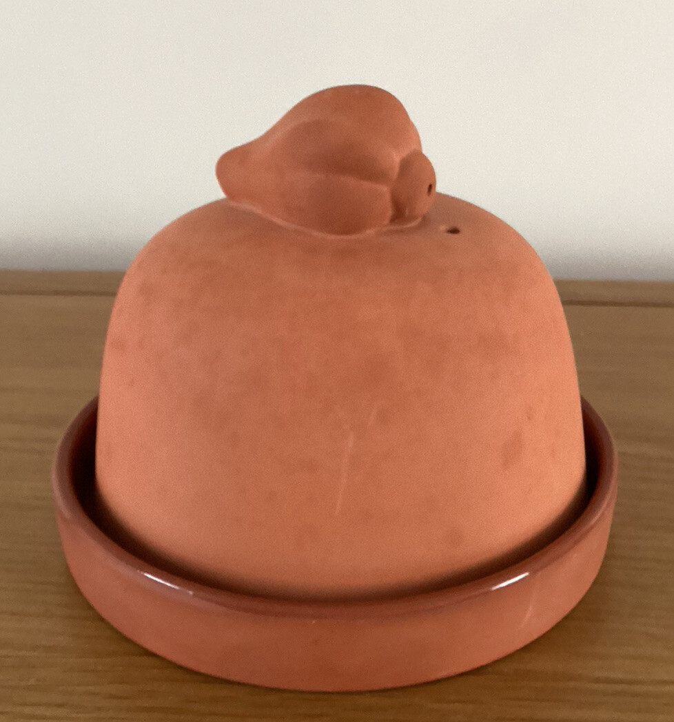 Asador de cebolla y ajo terracota base esmaltada cocina o guardián precioso artículo