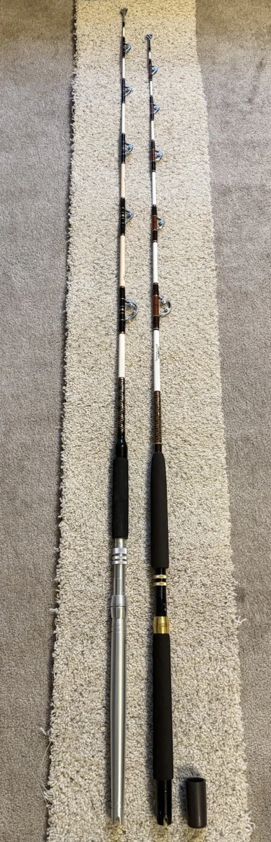 Fenwick All Saltwater Fishing Rods & Poles for sale | eBay