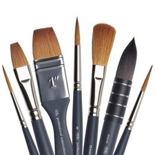 Winsor  Newton Professional Synthetic Sable Artist's Watercolour Brushes