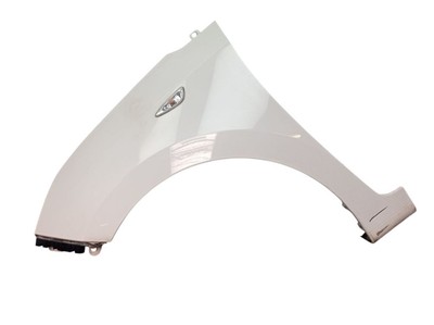 Kotflügel links Polar Weiss (BMS) für HYUNDAI I10 (BA, IA) 1.0